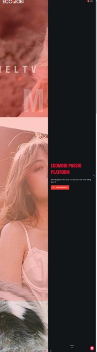 Ecomobi Homepage